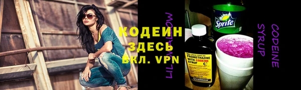 шишки Пестово