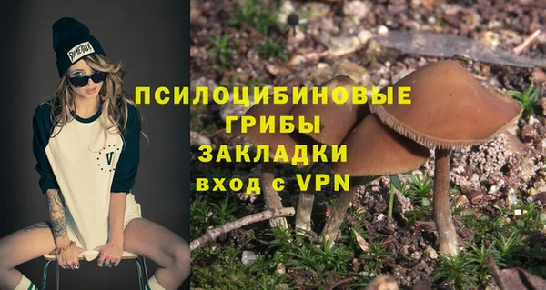 шишки Пестово