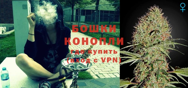 шишки Пестово