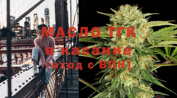 бошки Пересвет