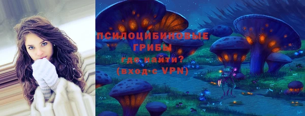 гидропоника Болотное