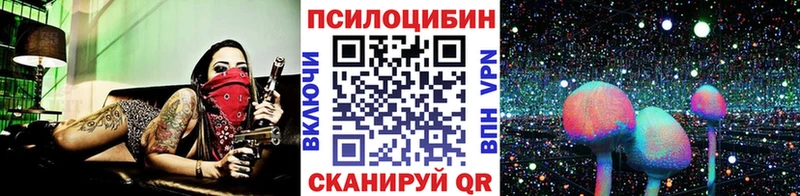 Псилоцибиновые грибы Psilocybine cubensis  Хилок 